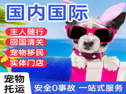 威海航空货运国际宠物托运 【国